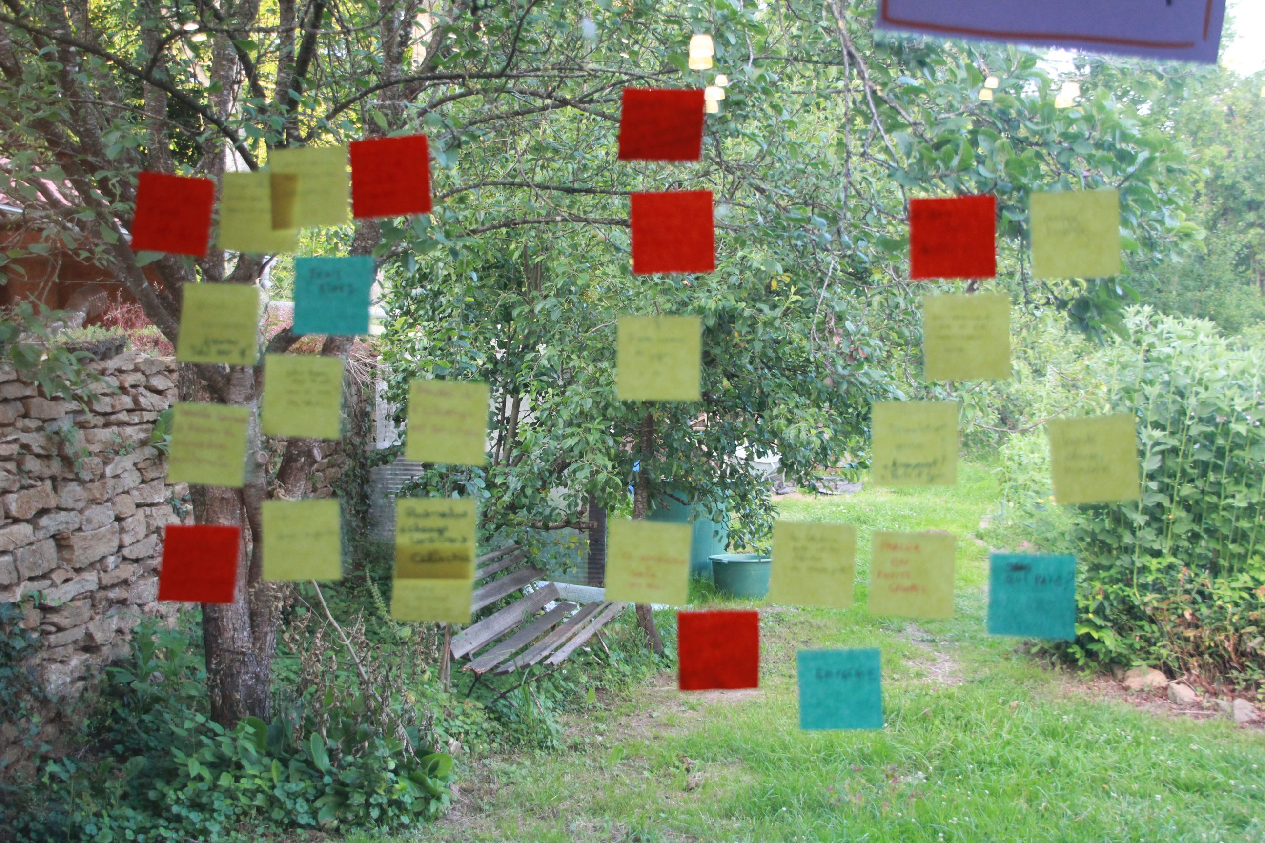 Odoo • Image et Texte